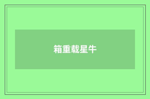 箱重载星牛