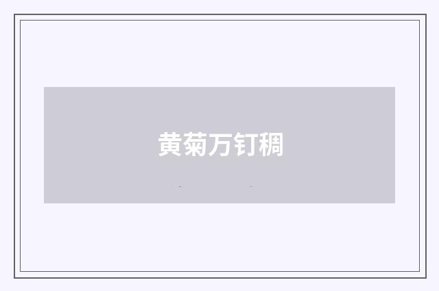 黄菊万钉稠