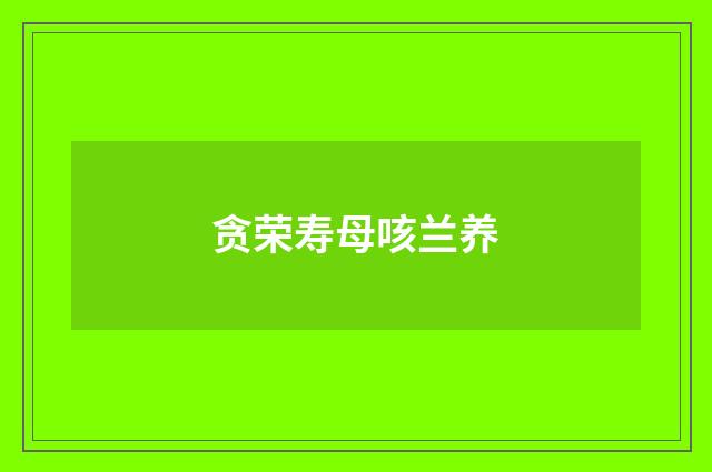 贪荣寿母咳兰养