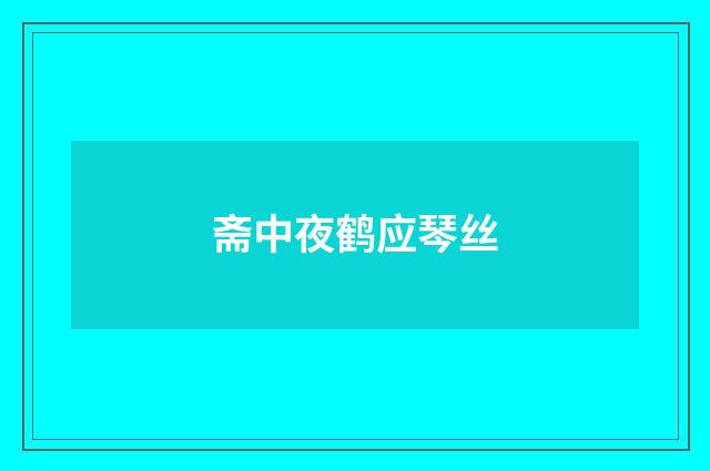 斋中夜鹤应琴丝