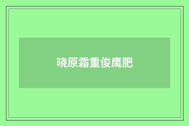晓原霜重俊鹰肥