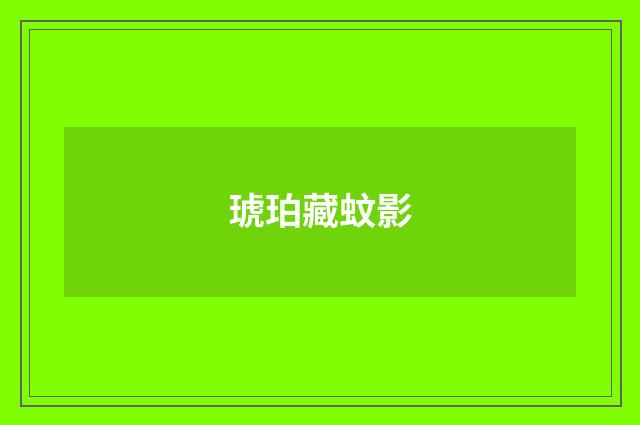 琥珀藏蚊影