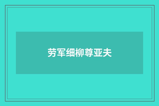 劳军细柳尊亚夫