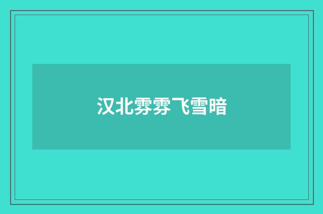 汉北雰雰飞雪暗