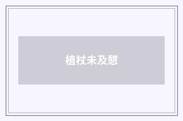 植杖未及憇