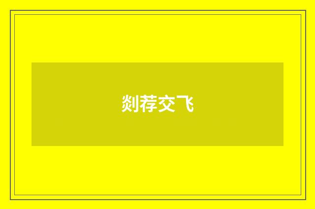 剡荐交飞