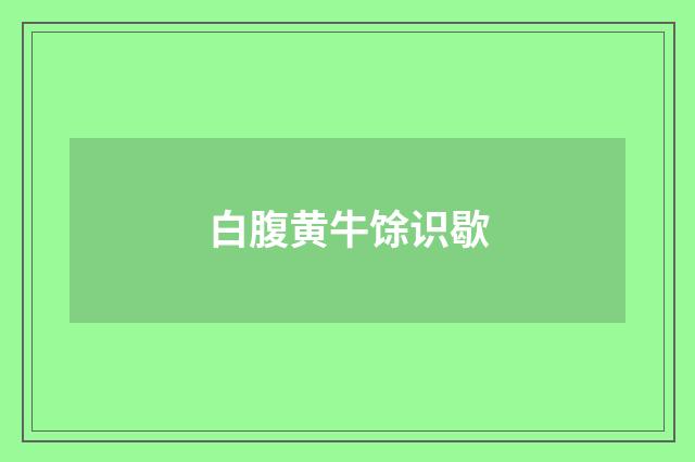 白腹黄牛馀识歇