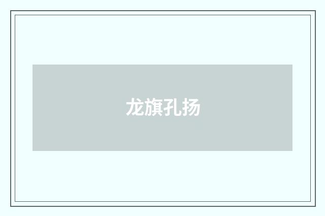 龙旗孔扬