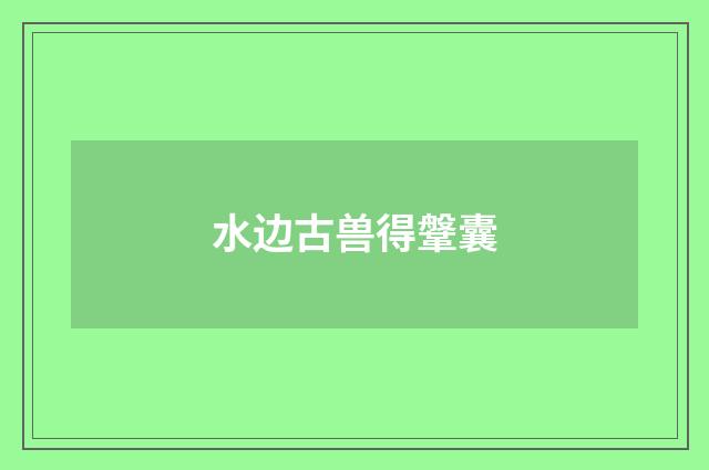 水边古兽得鞶囊