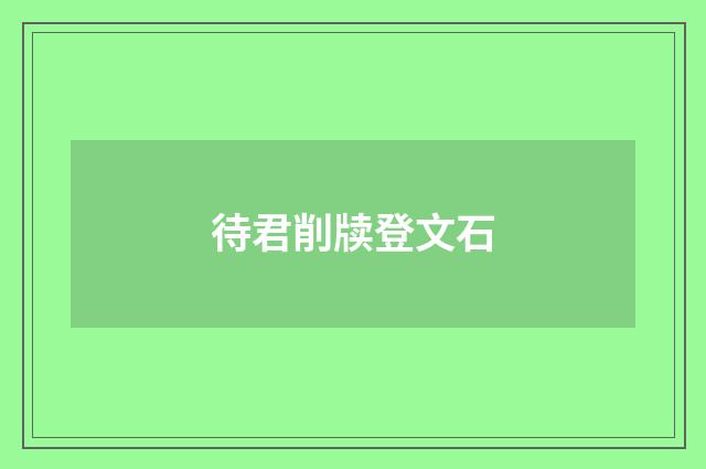 待君削牍登文石