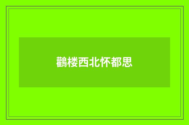 鸛楼西北怀都思