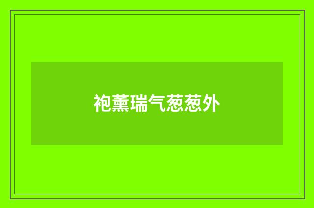 袍薰瑞气葱葱外