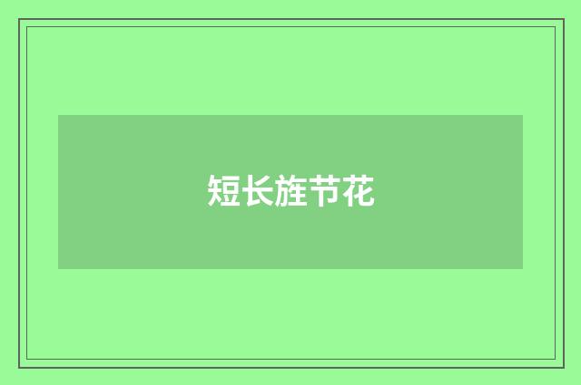 短长旌节花