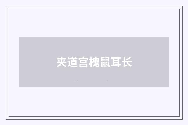 夹道宫槐鼠耳长