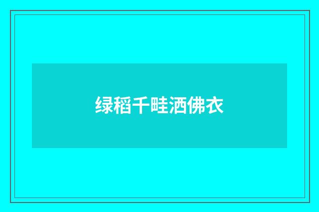 绿稻千畦洒佛衣