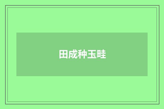 田成种玉畦