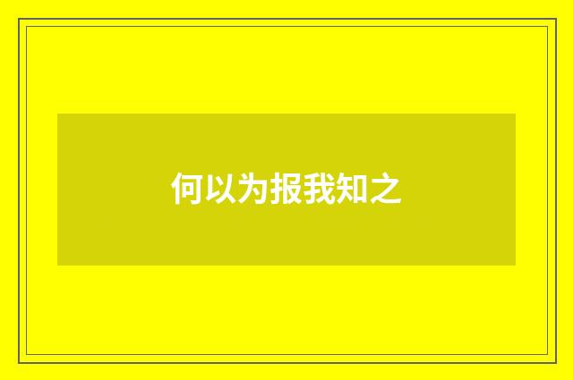 何以为报我知之