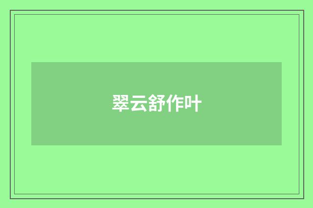 翠云舒作叶