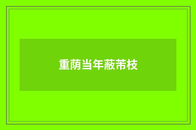 重荫当年蔽芾枝