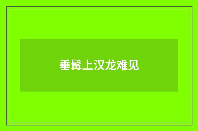垂髯上汉龙难见