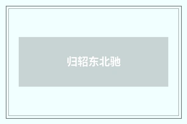 归轺东北驰