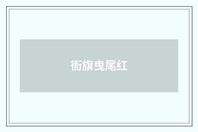 衙旗曳尾红