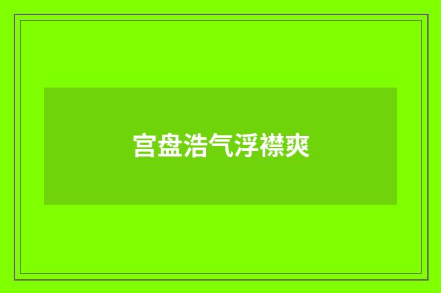 宫盘浩气浮襟爽