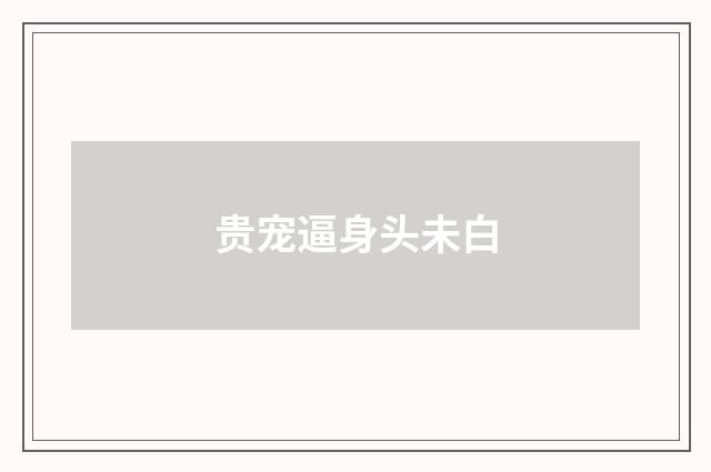 贵宠逼身头未白