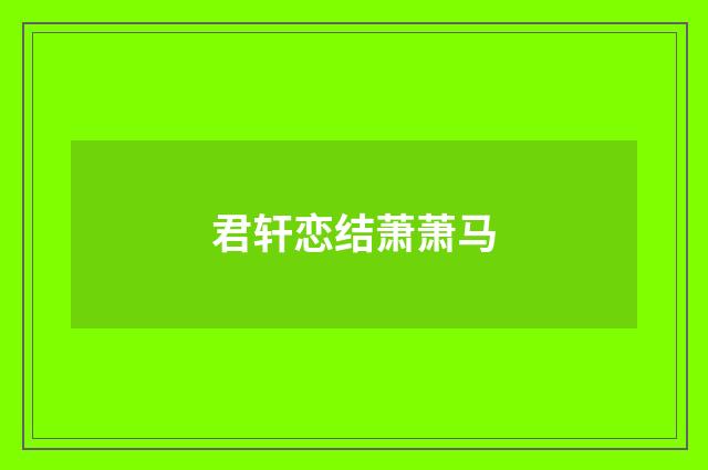 君轩恋结萧萧马