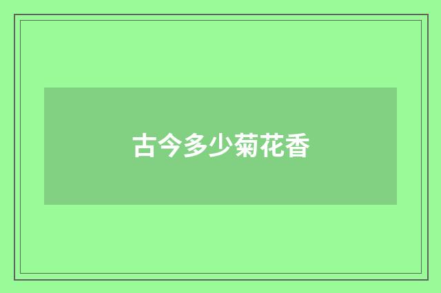 古今多少菊花香