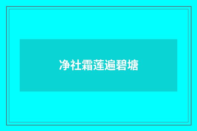 净社霜莲遍碧塘