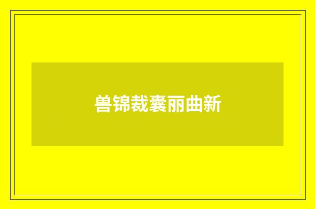 兽锦裁囊丽曲新