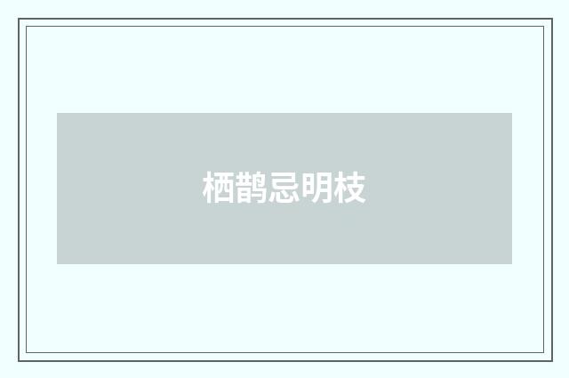 栖鹊忌明枝