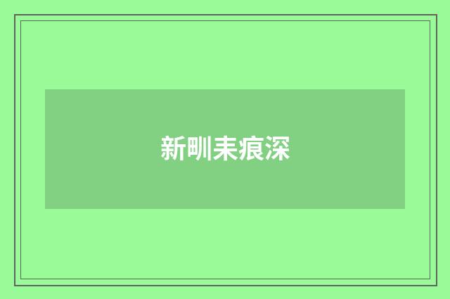 新甽耒痕深