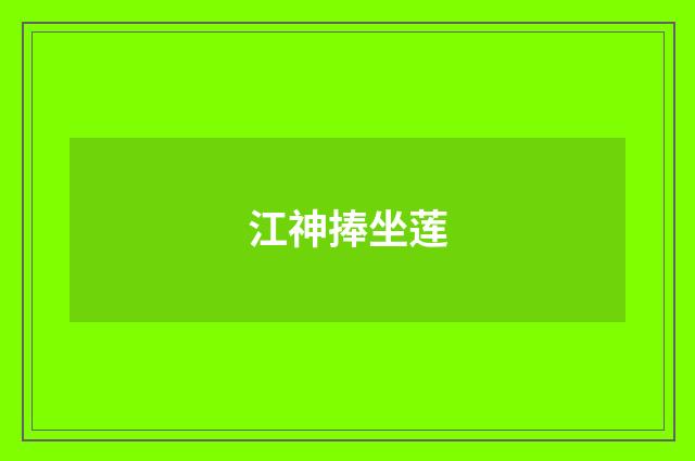 江神捧坐莲