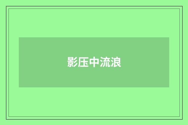 影压中流浪
