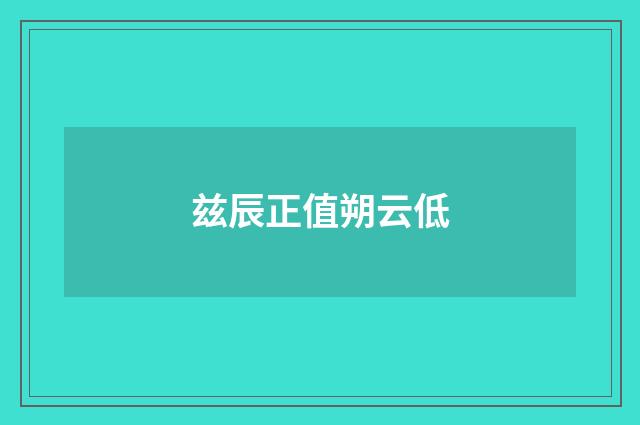 兹辰正值朔云低