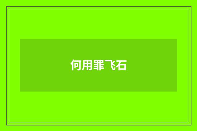 何用罪飞石