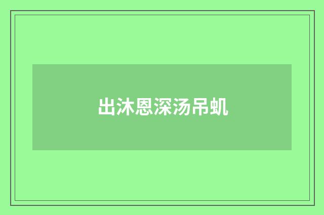出沐恩深汤吊虮