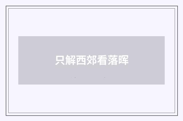只解西郊看落晖