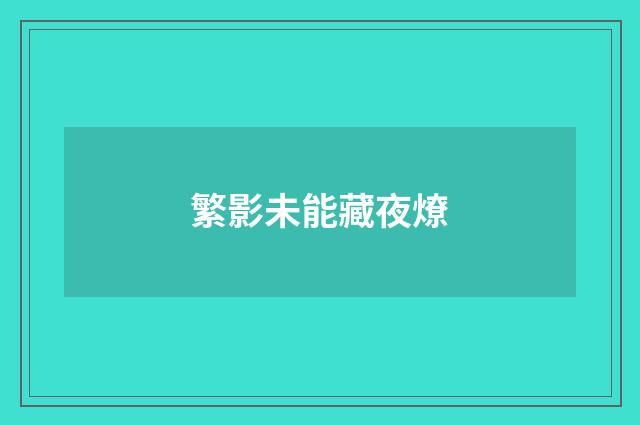 繁影未能藏夜燎