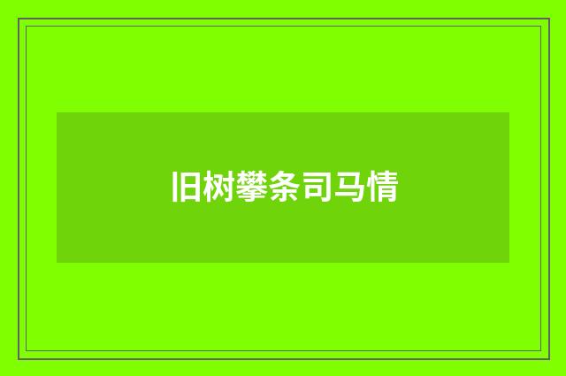 旧树攀条司马情