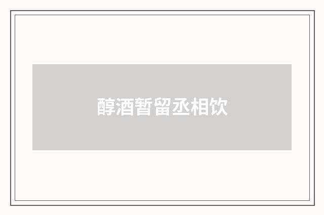 醇酒暂留丞相饮