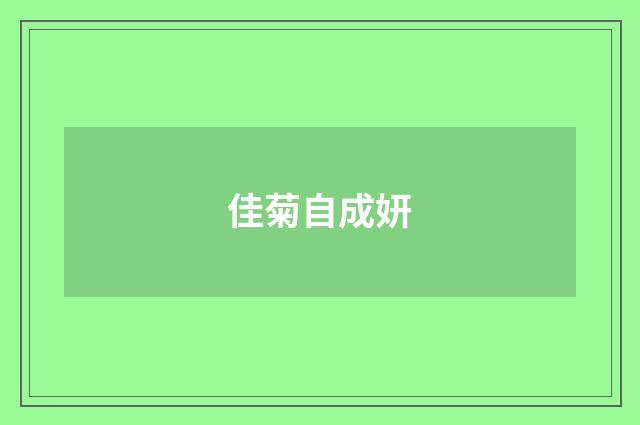 佳菊自成妍