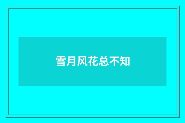雪月风花总不知
