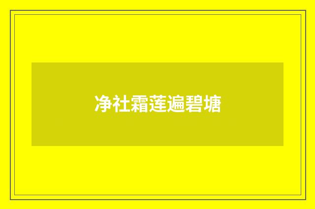 净社霜莲遍碧塘