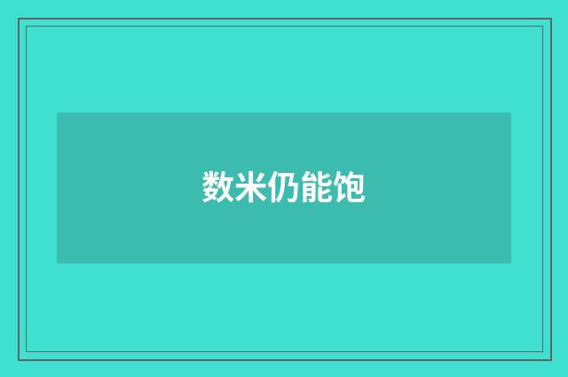 数米仍能饱