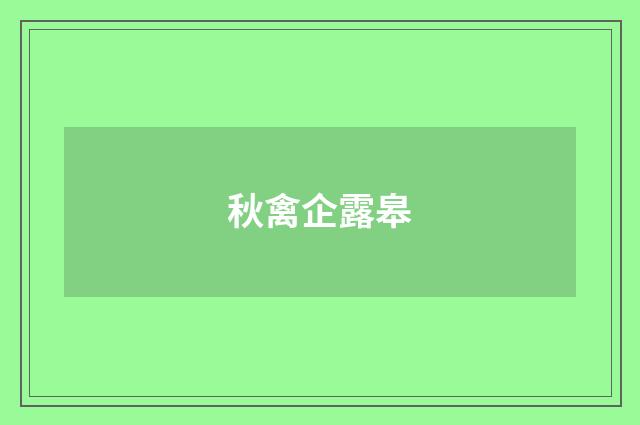 秋禽企露皋