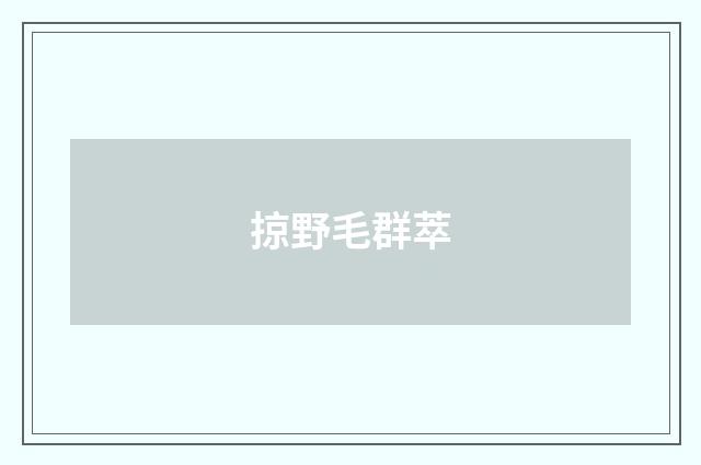掠野毛群萃