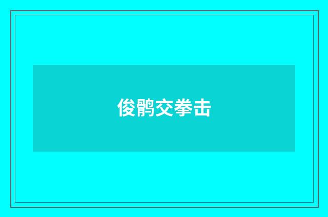 俊鹘交拳击